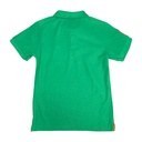 Chemise Ralph Lauren Verde Manzana- 6