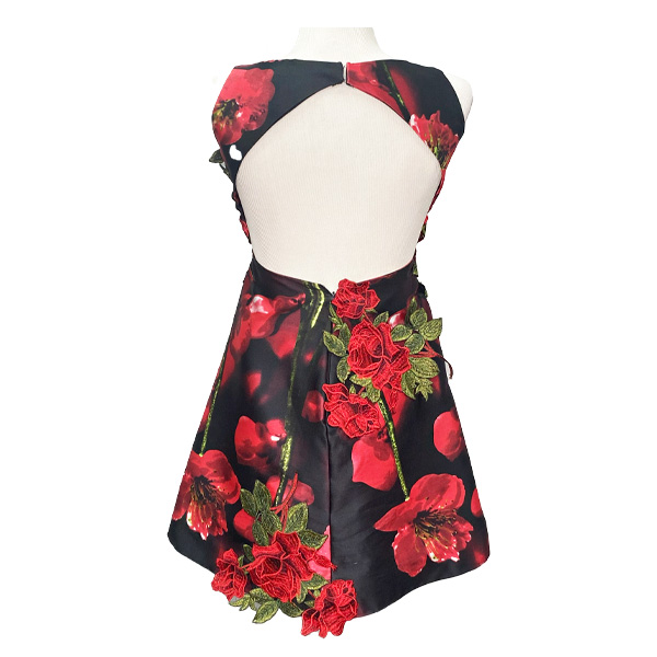 Vestido Alejandro Fajardo Rosas- 