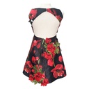 Vestido Alejandro Fajardo Rosas- 