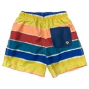 Short Gymboree Multicolor- 12/18M