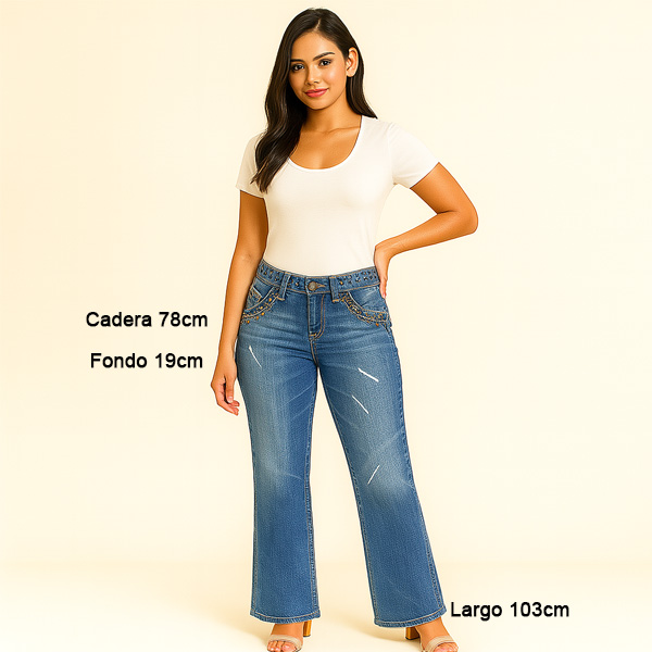Jeans Vigoss Prelavado y Broches- 25