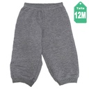 Jogger Carters Gris-12M