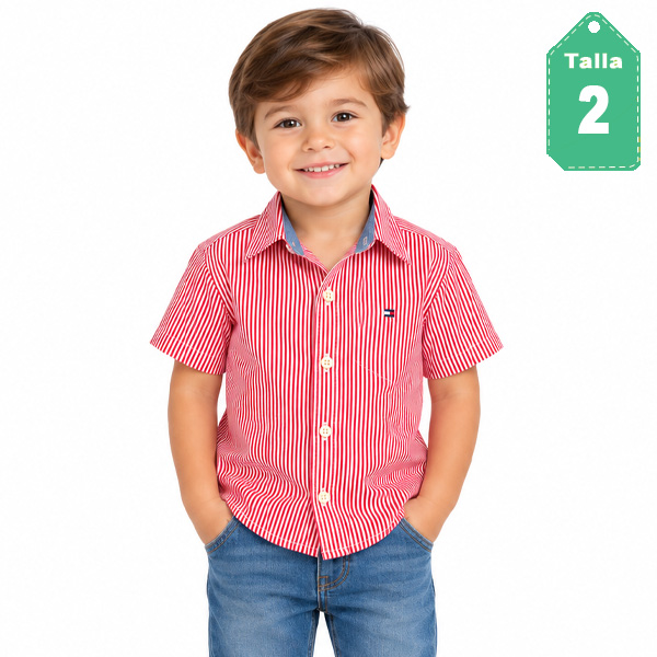 Camisa Tommy Hilfiger Rayas- 2