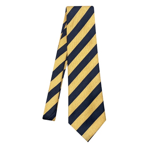 [3474] Corbata Umberto Ceveri Champagne y Azul Marino